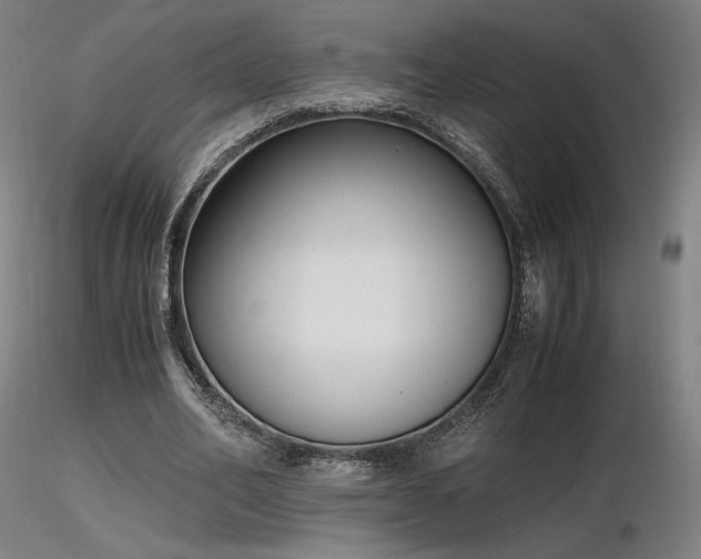 X0000116820582200912181410