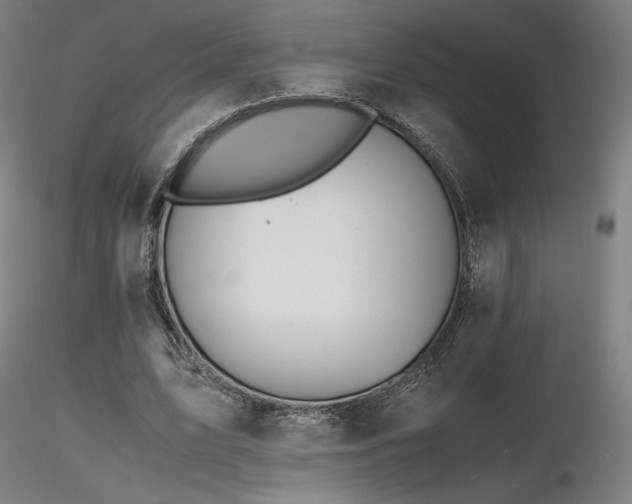 X0000116820583200912181410