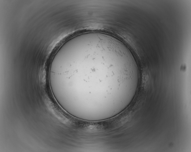 X0000116820584200912181410