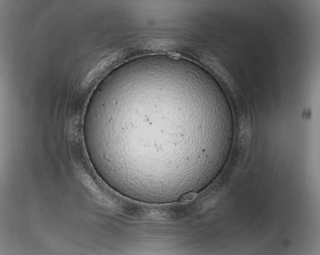 X0000116820585200912181410