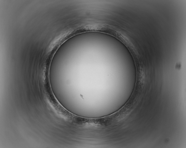 X0000116820586200912181410