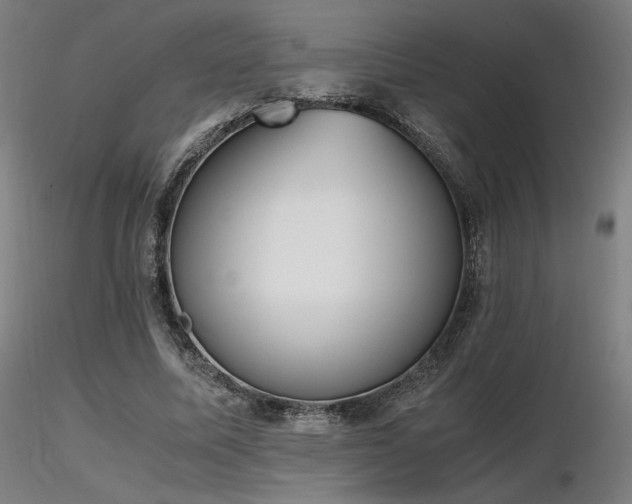 X0000116820587200912181410