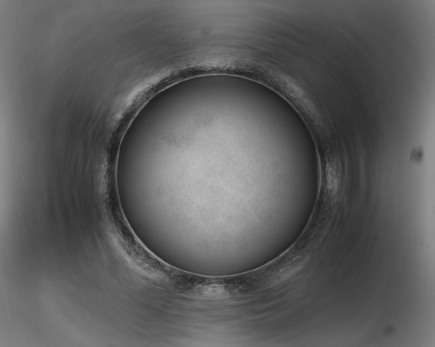 X0000116820588200912181410