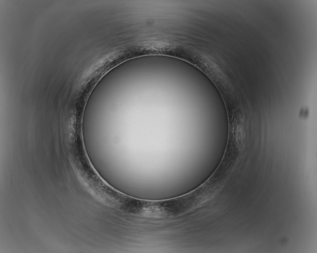 X0000116820591200912181410