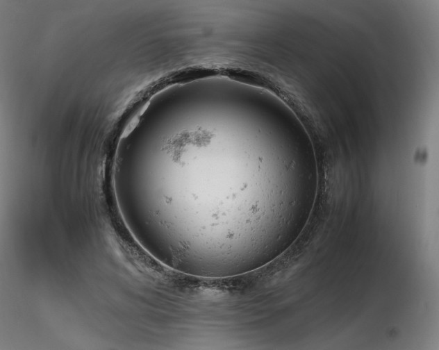 X0000116820592200912181410