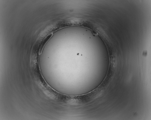 X0000116820593200912181410