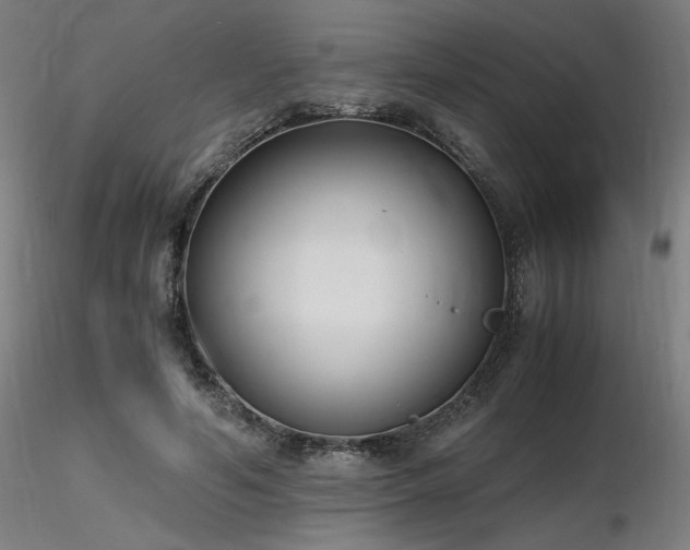X0000116820594200912181410