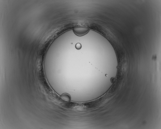 X0000116820595200912181410