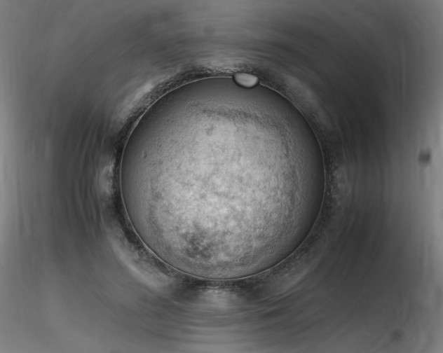 X0000116820596200912181410