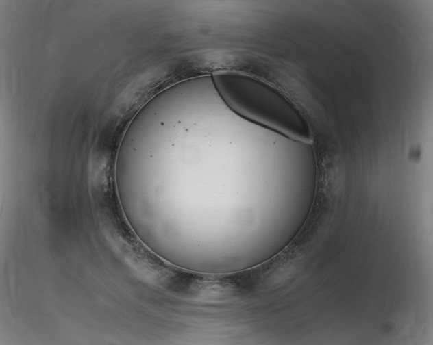 X0000116820597200912181410