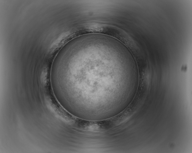X0000116820600200912181410
