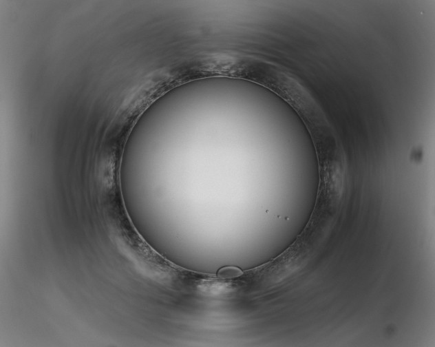 X0000116820602200912181410