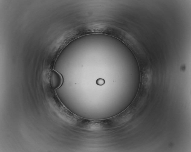 X0000116820604200912181410