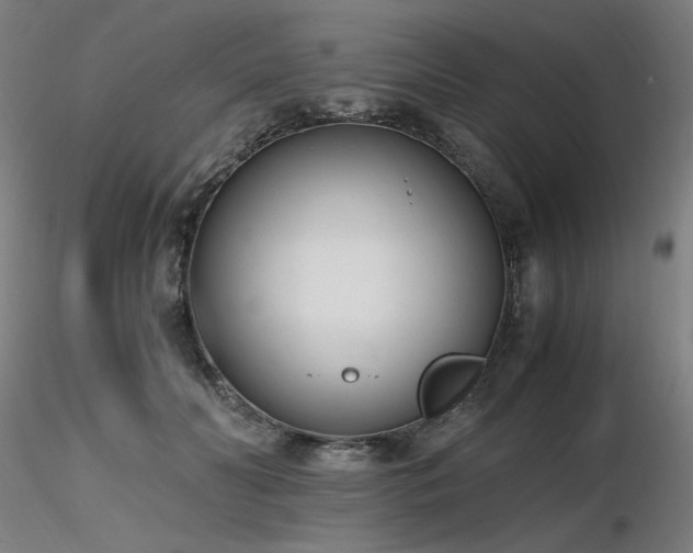 X0000116820606200912181410