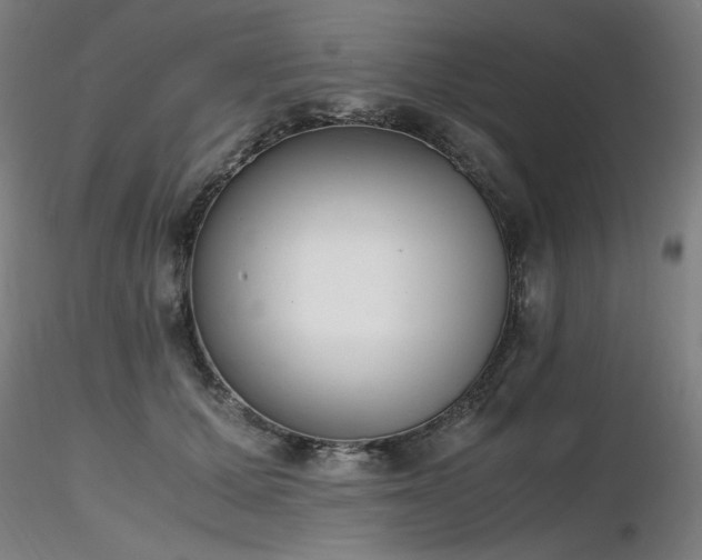 X0000116820607200912181410