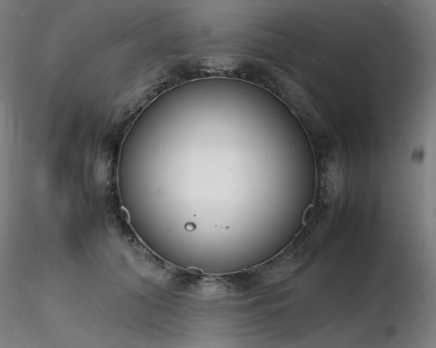 X0000116820608200912181410