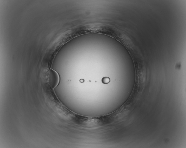 X0000116820609200912181410