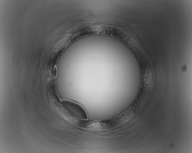 X0000116820611200912181410