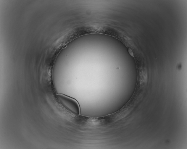 X0000116820613200912181410