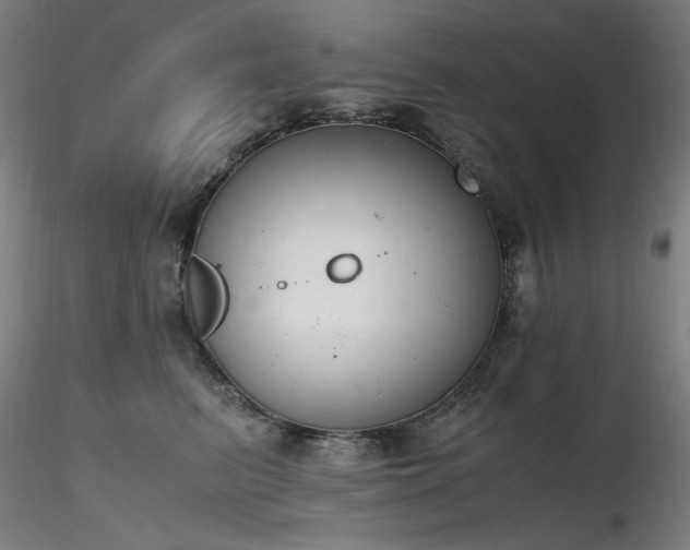 X0000116820615200912181410
