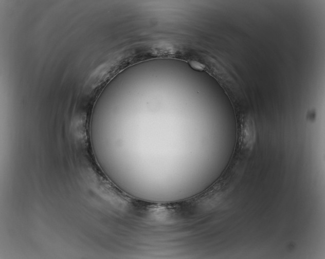 X0000116820616200912181410