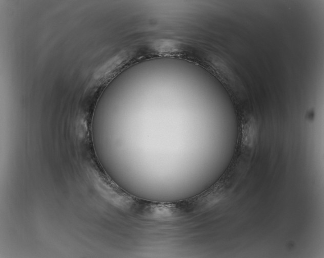 X0000116820618200912181410