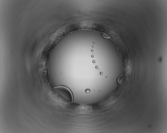 X0000116820619200912181410