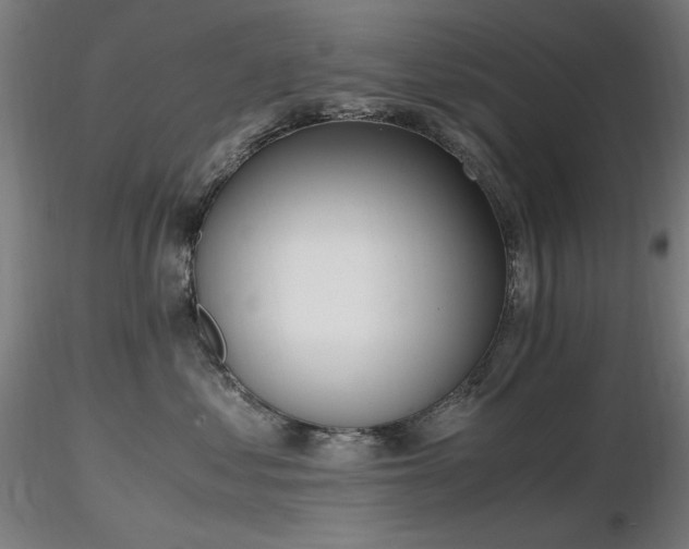 X0000116820621200912181410