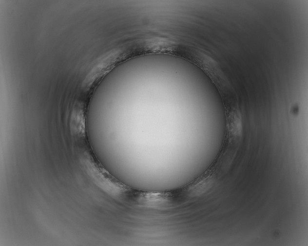 X0000116820622200912181410