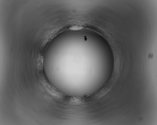 X0000116820624200912181410