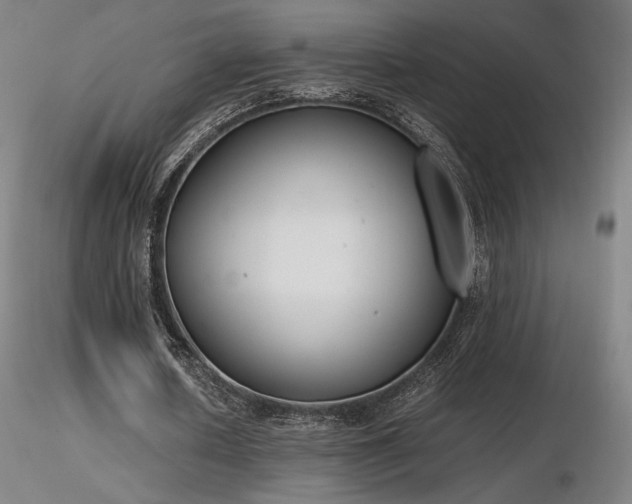 X0000116820626200912181409