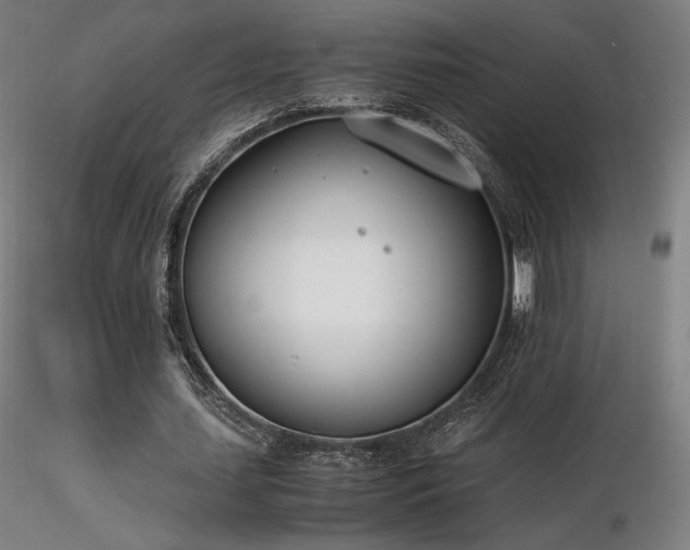 X0000116820627200912181409
