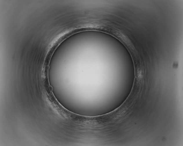 X0000116820628200912181409