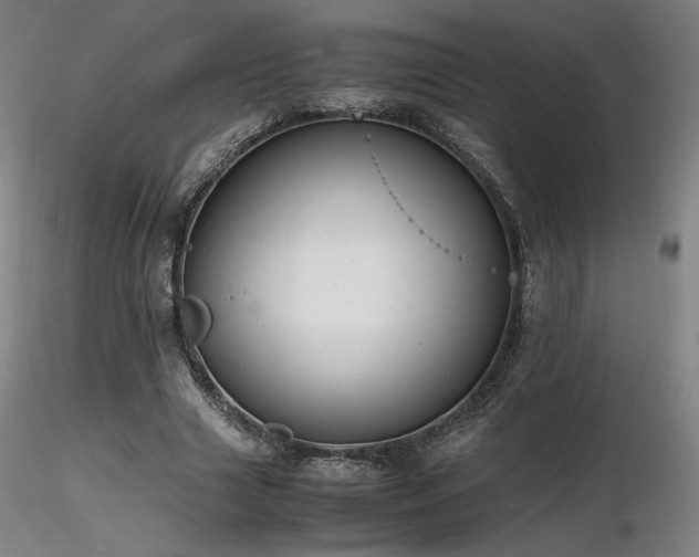 X0000116820633200912181409