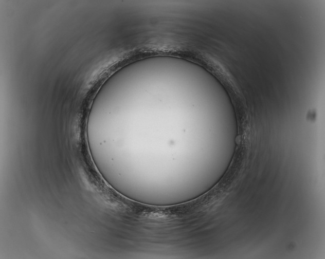 X0000116820635200912181409