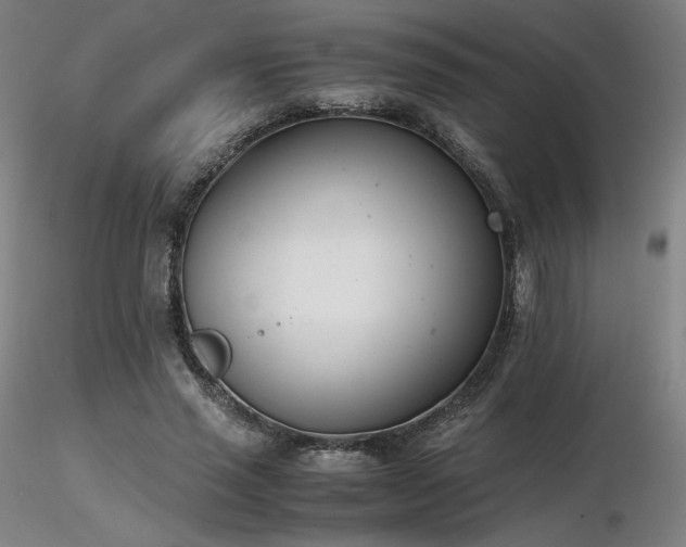 X0000116820637200912181409