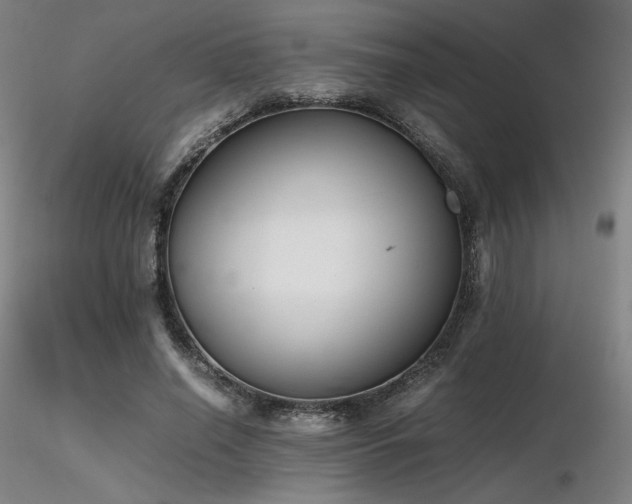X0000116820638200912181409