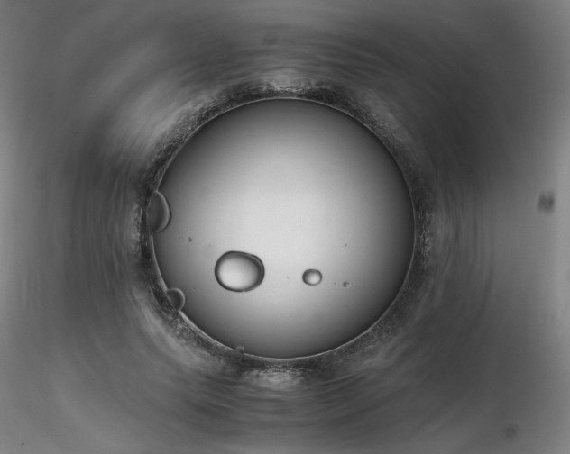 X0000116820639200912181409