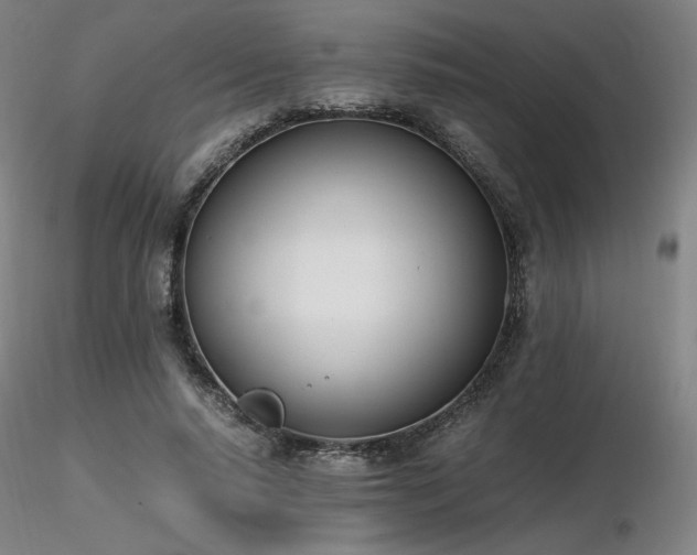 X0000116820640200912181409
