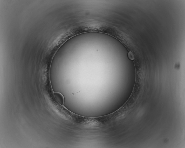 X0000116820642200912181409