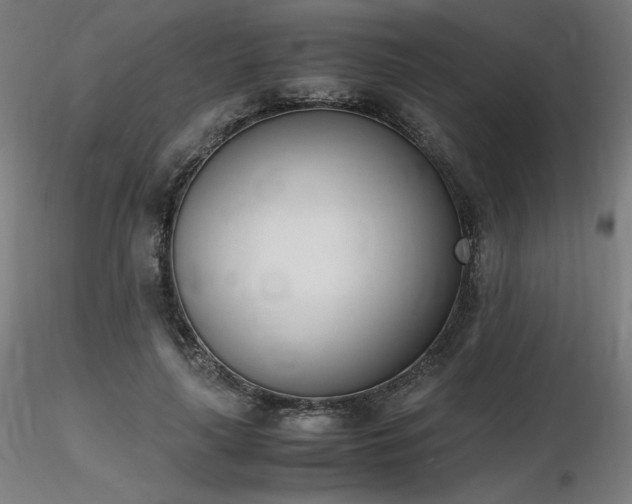 X0000116820643200912181409