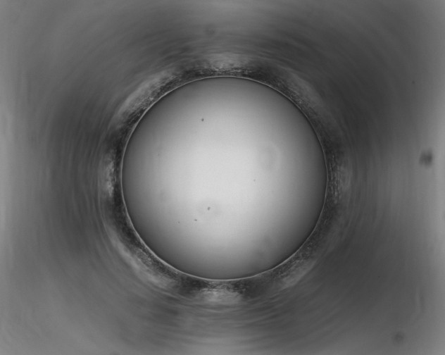 X0000116820644200912181409