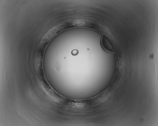 X0000116820645200912181409