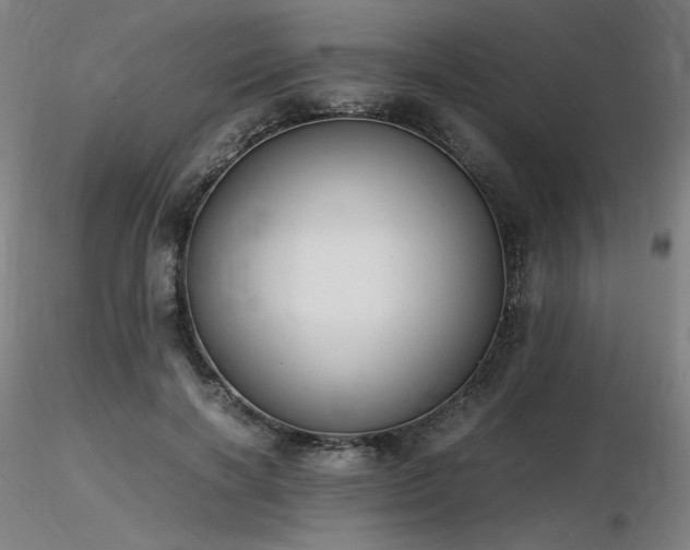 X0000116820646200912181409