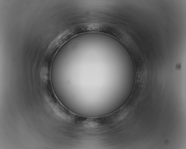 X0000116820648200912181409