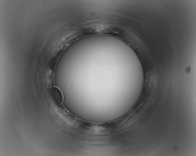 X0000116820650200912181409