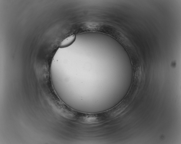 X0000116820651200912181409