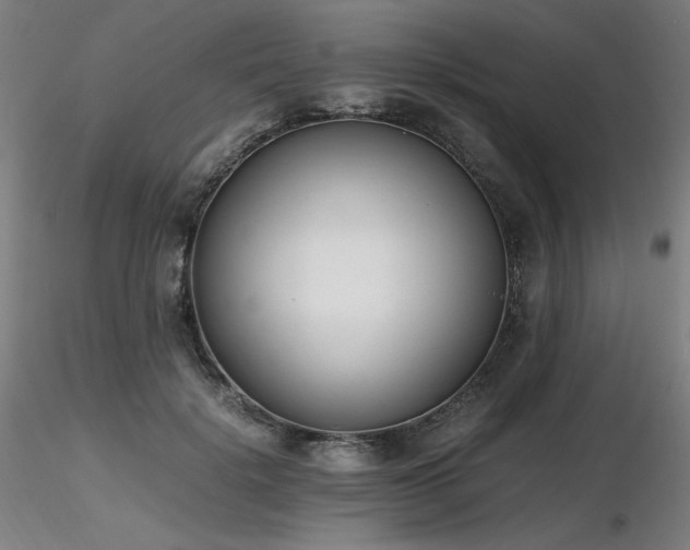 X0000116820652200912181409