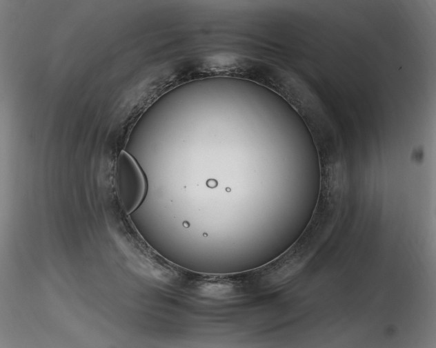 X0000116820653200912181409