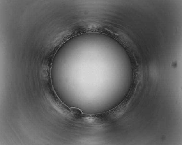 X0000116820654200912181409